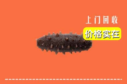 诚信求购:恩施宣恩县高价回收海参